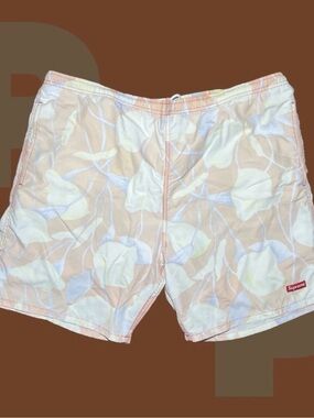 Supreme Nylon Water Short (Large)